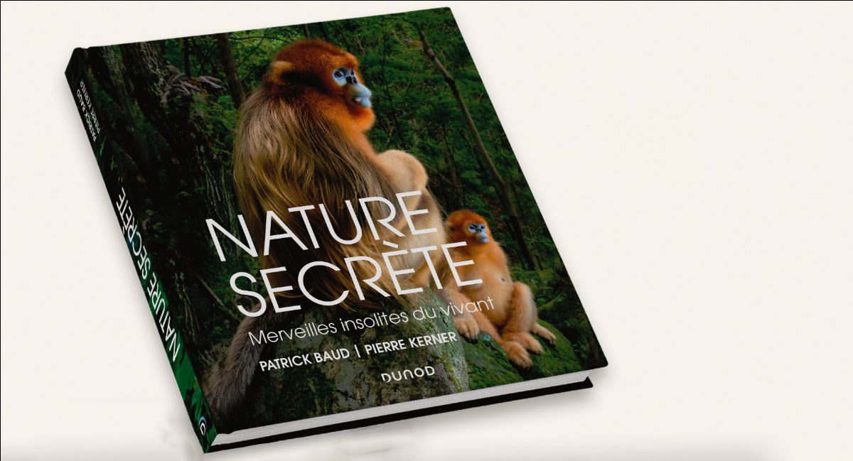 Nature Secrète