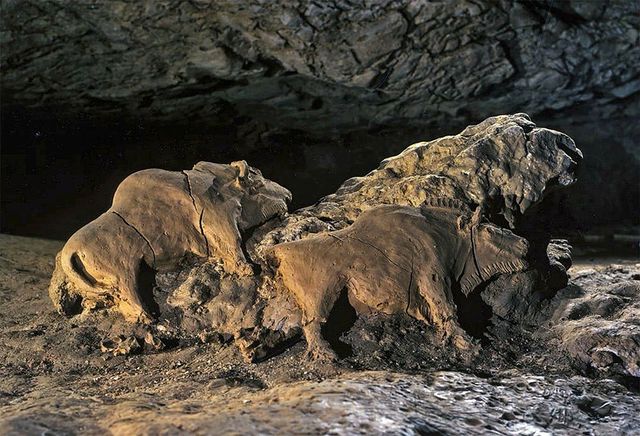 Les fantastiques bisons sculptés de la Grotte du Tuc d'Audoubert, conçus il y a près de 14000 ans!
