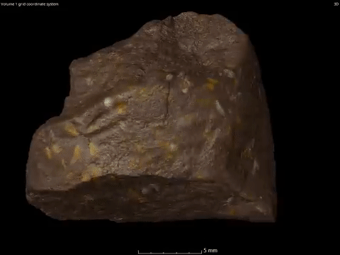 On connaît bien l'exemple des insectes fossilisés dans l'ambre, mais ici, nous avons à faire à des coléoptères préservés dans des coprolithes : des cacas de dinosauriformes fossilisés On connaît bien l'exemple des insectes fossilisés dans l'ambre, mais ici, nous avons à faire à des coléoptères préservés dans des coprolithes : des cacas de dinosauriformes fossilisés