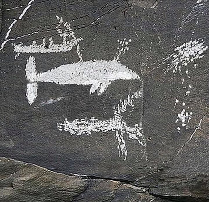 Parmi les 350 pétroglyphes vieux de 2000 ans du site du fleuve Pegtymel, dans le district autonome de Tchoukotka, certains décrivent des scènes de chasse à la baleine.