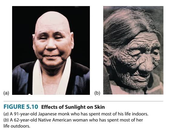 Image illustrant les effets des UVs sur le vieillissement de la peau (ou dermatohéliose) : comparaison de mode de vie entre moine bouddhiste et indienne vivant en plein air
