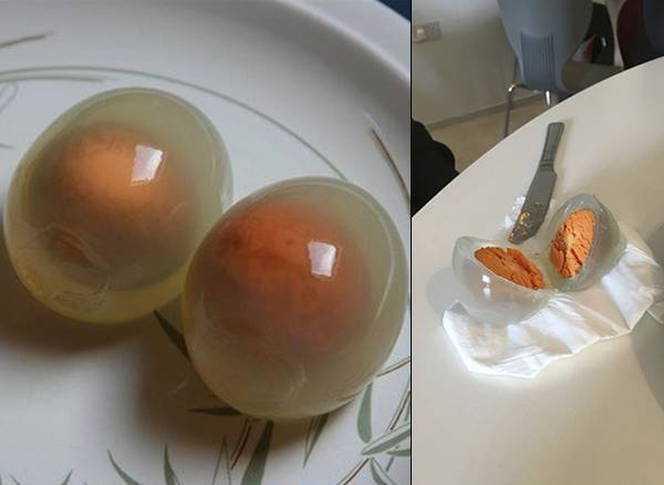 Les œufs de manchots sont pauvres en ovalbumine qui est remplacée par la penalbumine, permettant aux embryons de mieux résister au froid. Bouillis, les "blancs" restent donc transparents. Leur goût évoque celui de poissons.