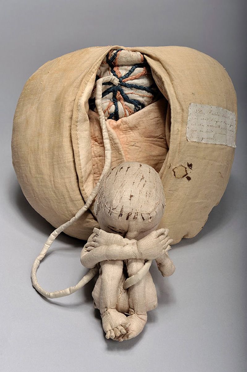 À partir de 1754, pour enseigner son métier de sage-femme, Angélique du Coudray inventera des modèles de femmes et fœtus en tissu, coton, bois et carton dont les parties amovibles facilitaient la compréhension