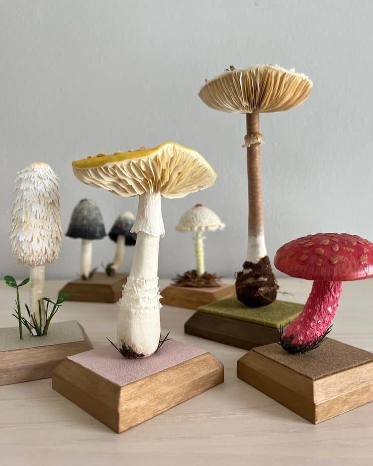 Les impressionnants champignons de papiers réalisés par Ann Wood 