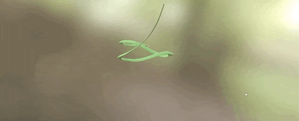 Modèle 3D de chrysopelea en vol