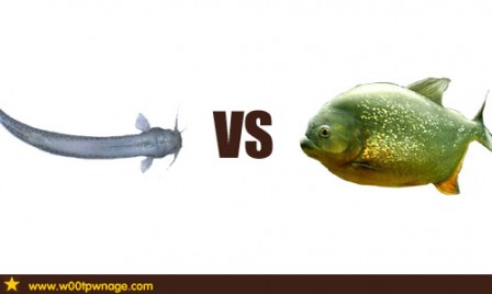 Piranha vs Candiru