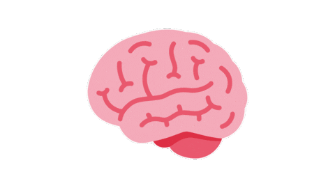 Emoji Cerveau 