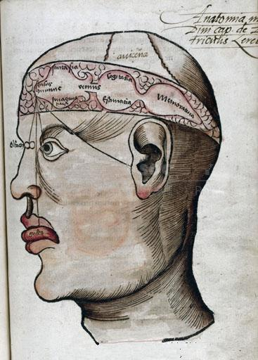 Magnus Hundt. Les trois cellules d'Avicenne et les nerfs crâniens. Anthropologicum de hominis 1501 (BIUM, Paris, 5586).