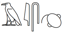 hiéroglyphes signifiant cerveau dans le papyrus Edwin Smith