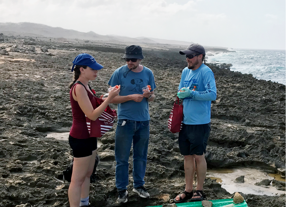 L'équipe de Nicole King à la recherche de Choanoflagellés sur l'île de Curaçao