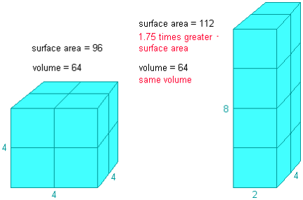 La forme influence le rapport entre surface et volume