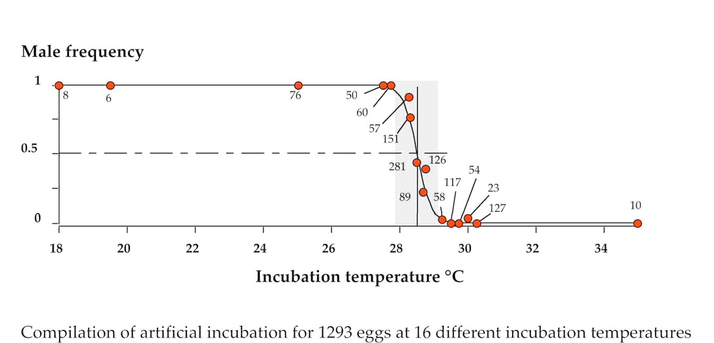 l’intervalle de température de transition