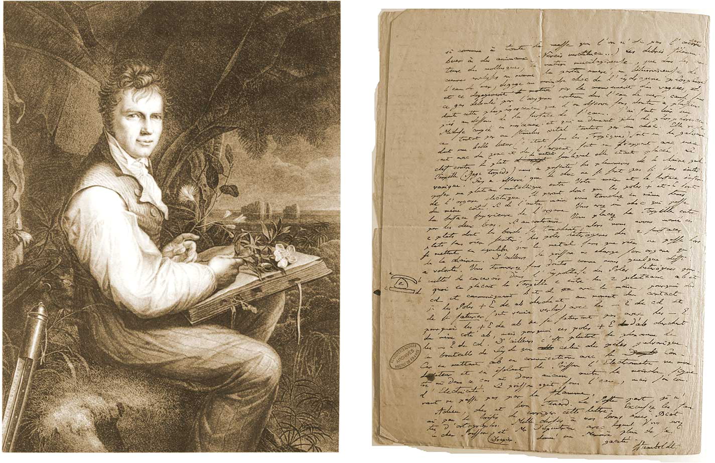 Portrait d'Alexandre von Humboldt
