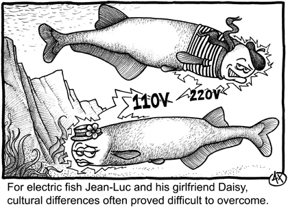 Deux poissons échangent des décharges électriques. L'un à 220V et l'autre à 110V. Texte : pour jean-luc, poisson électrique, et sa petite amie daisy, les différences culturelles se sont souvent révélées difficiles à surmonter