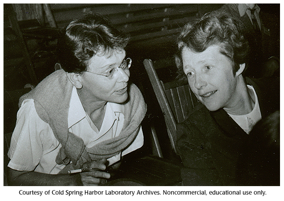 Barbara McClintock (Gauche) et Harriet Creighton (droite)