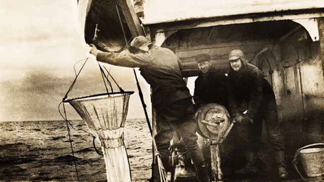 Ditlev Rustad treuille un poisson en 1927 à bord du Norvegia