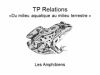TP relations