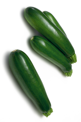 Cucurbita pepo