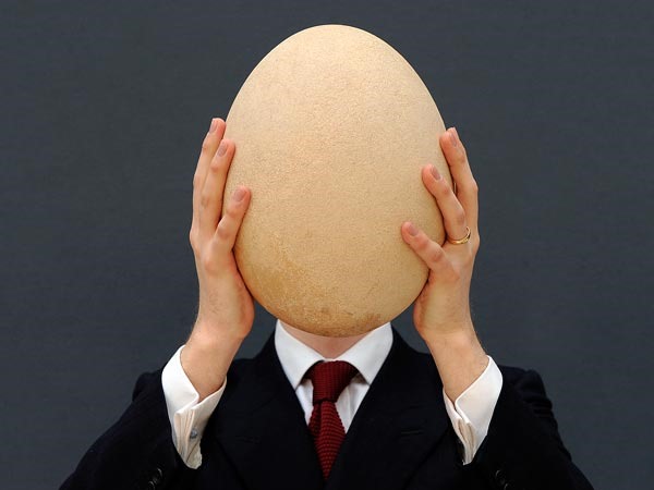 http://ssaft.com/Blog/dotclear/public/Windows-Live-Writer/Have-Fun-With-Eggs_F93D/elephant-bird-egg-auctioned_65837_600x450_2.jpg