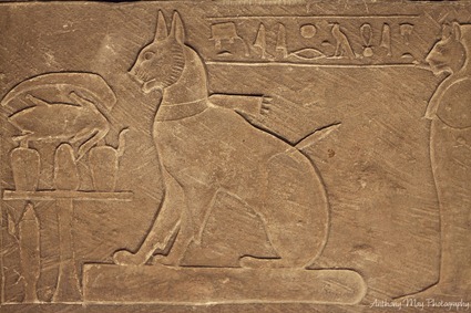 sarcophage du chat domestique du Prince Thutmose, Ta-miou