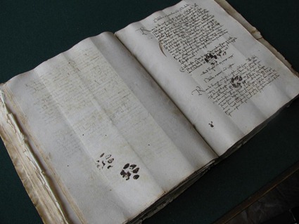 Manuscrit du XVème siècle de Dubrovnik avec empreintes de chat