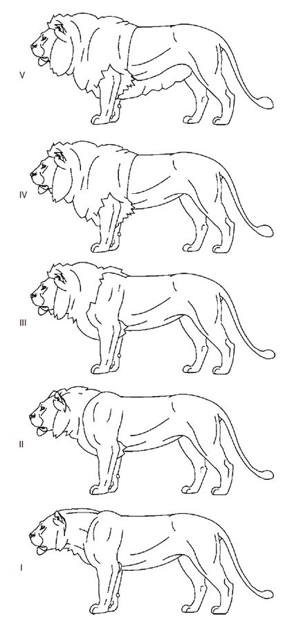 Variation des crinières des populations actuelles de lion
