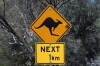 SSAFT in Australia