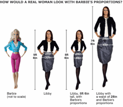 Proportion Barbie