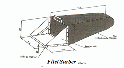 Filet Surber