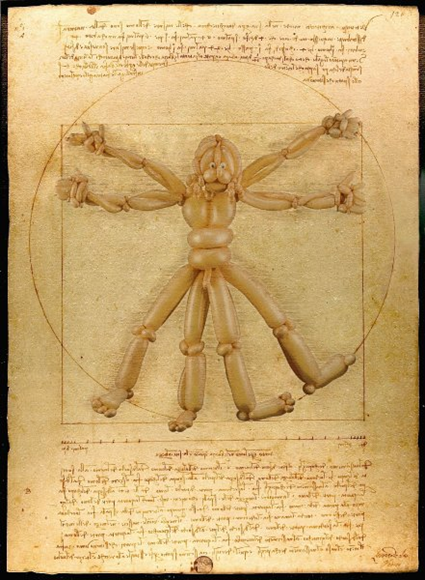 L'homme de Vitruve, Leonard de Vinci