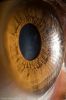 Your beautiful eyes, Suren Manvelyan