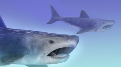 Helicoprion selon Mary Parrish sous la supervision de Robert Purdy, Victor Springer etMatt Carrano