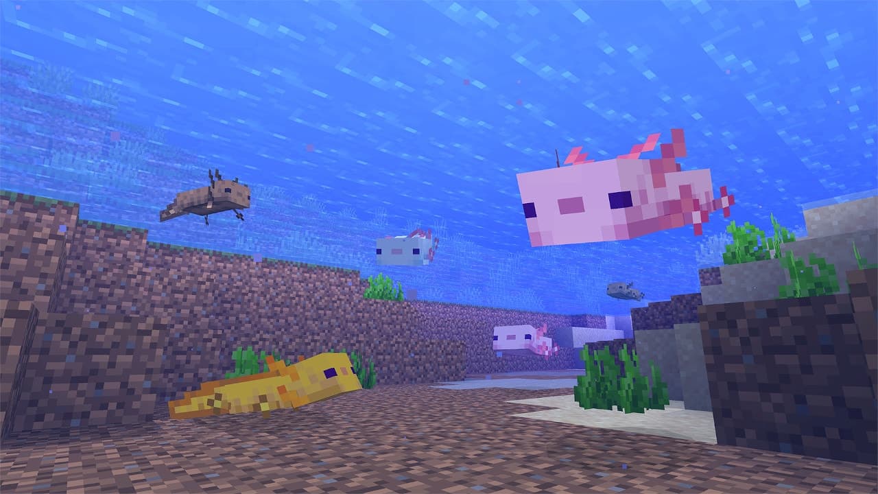 Axolotls dans minecraft