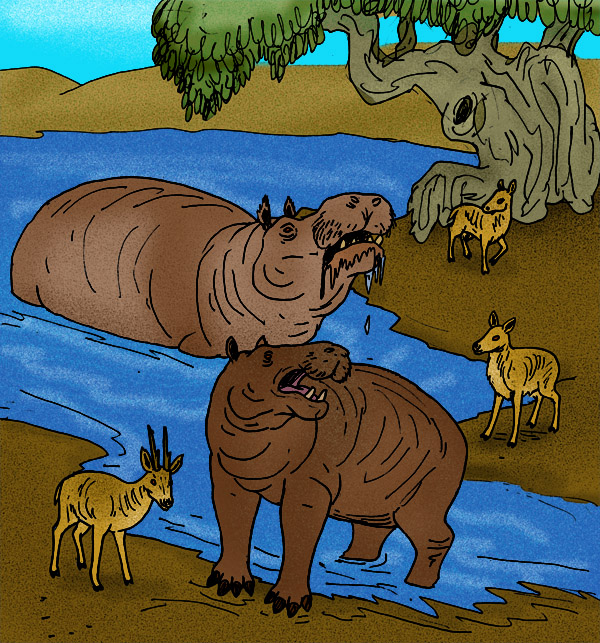 Hippopotamus cruetzburgi