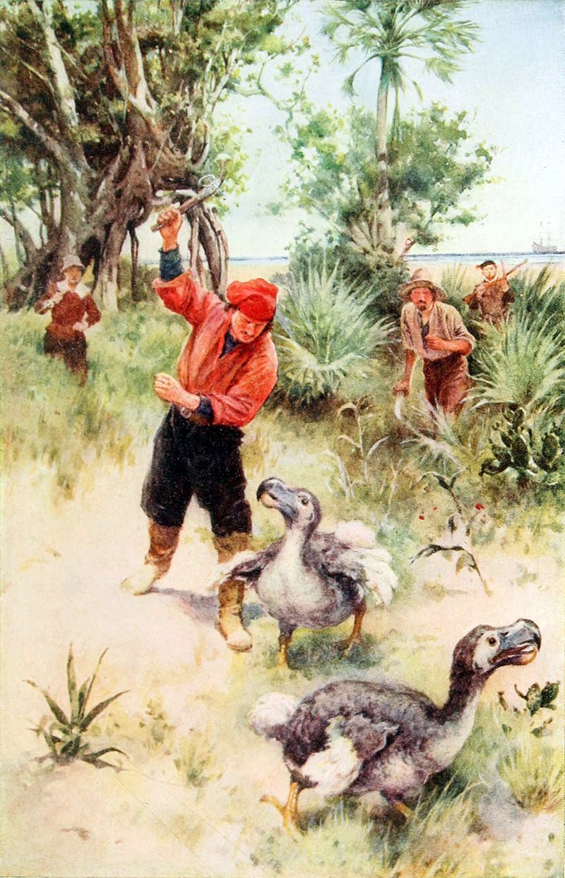 Massacre de Dodos