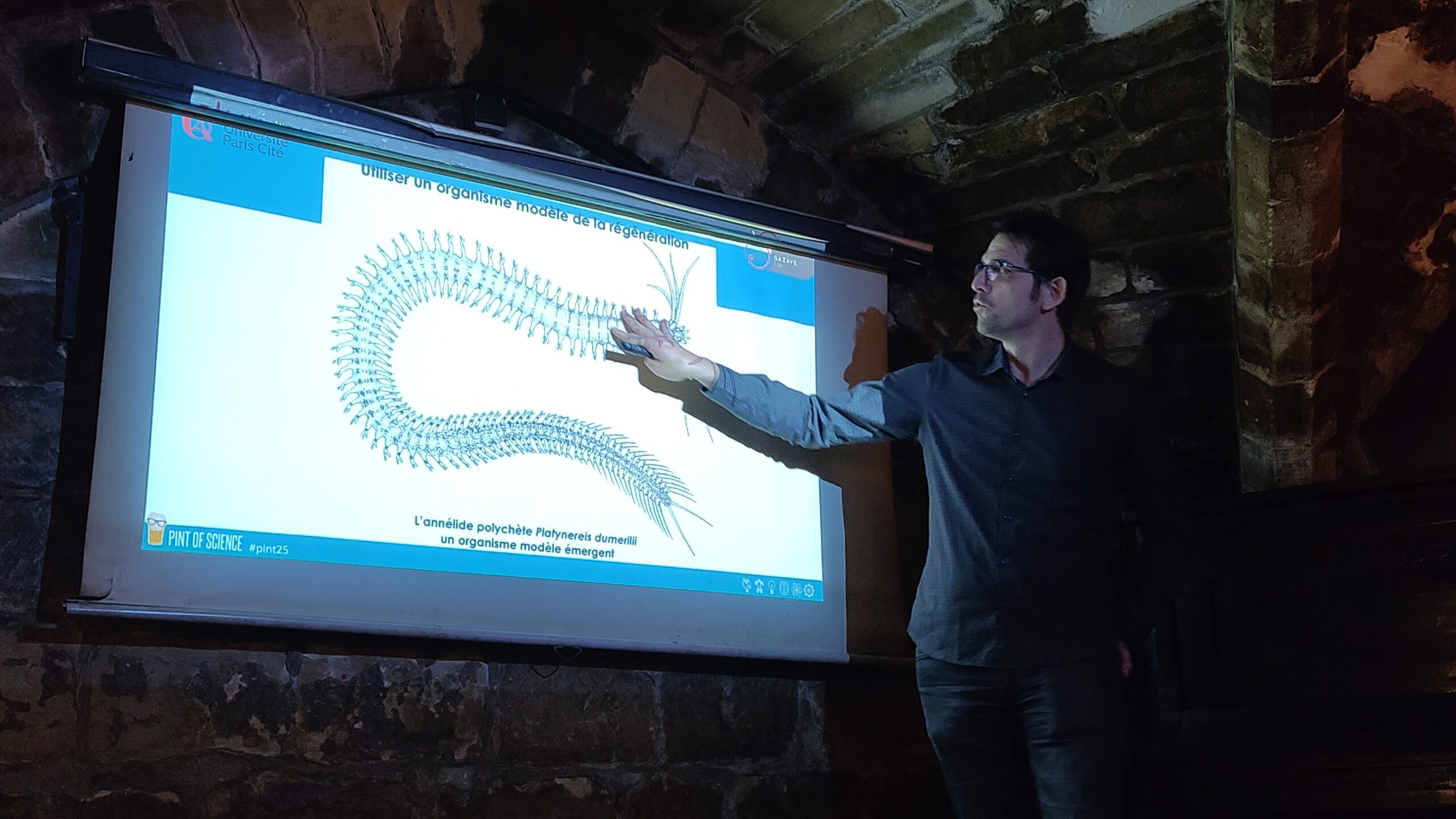 Pint Of Science - Régénérer : un pouvoir sans queue ni tête ?