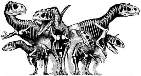 Dinosaures théropodes