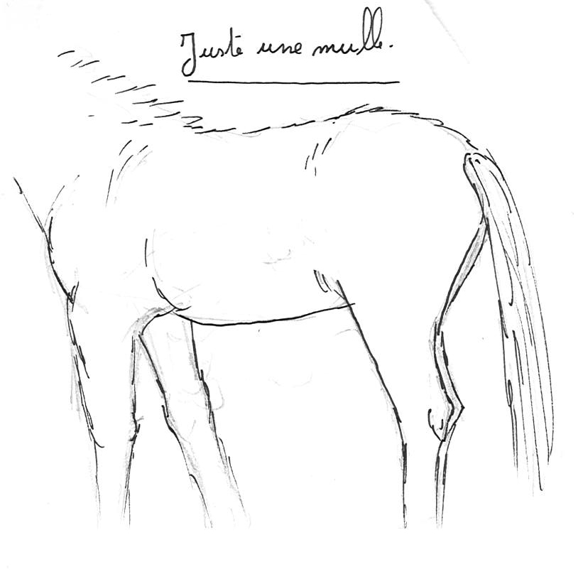 Dessin de Thomas Dessin de Thomas