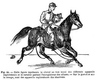 Figure 44. Cette figure représente le cheval au trot muni des différents appareils explorateurs et le cavalier portant l'enregistreur des allures. Sur le garrot et sur la croupe, sont des appareils explorateurs des réactions. Extrait de Marey, EJ (1873) La Machine Animale. Locomotion terrestre et aérienne Figure 44. Cette figure représente le cheval au trot muni des différents appareils explorateurs et le cavalier portant l'enregistreur des allures. Sur le garrot et sur la croupe, sont des appareils explorateurs des réactions. Extrait de Marey, EJ (1873) La Machine Animale. Locomotion terrestre et aérienne
