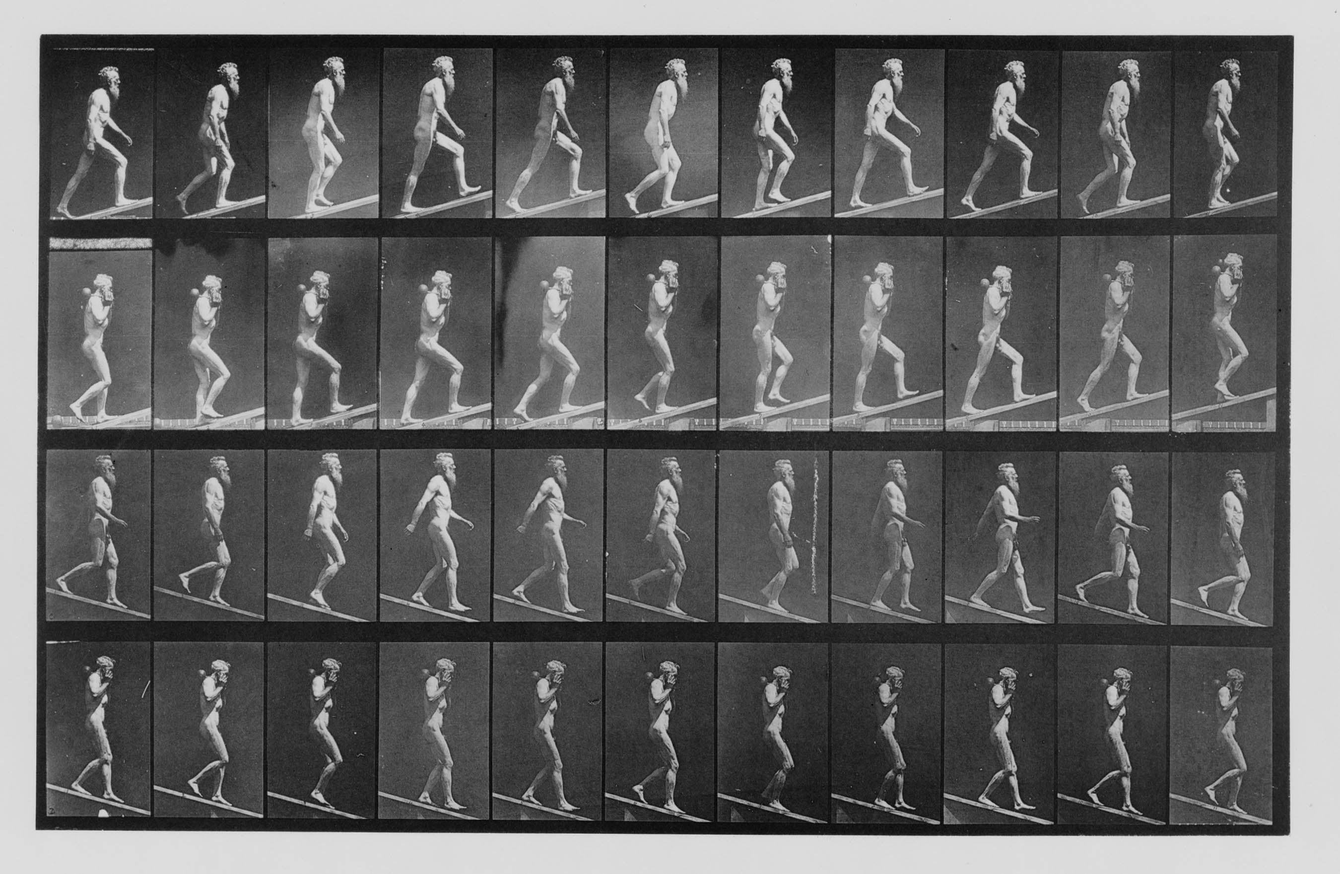 A : Inclinaison ascendante. B : Inclinaison ascendante avec un haltère de 50 livres. C : Inclinaison descendante. D : Inclinaison descendante avec un haltère de 50 livres, 1887 collotypie, 19 x 24 pouces (feuille A : Inclinaison ascendante. B : Inclinaison ascendante avec un haltère de 50 livres. C : Inclinaison descendante. D : Inclinaison descendante avec un haltère de 50 livres, 1887 collotypie, 19 x 24 pouces (feuille