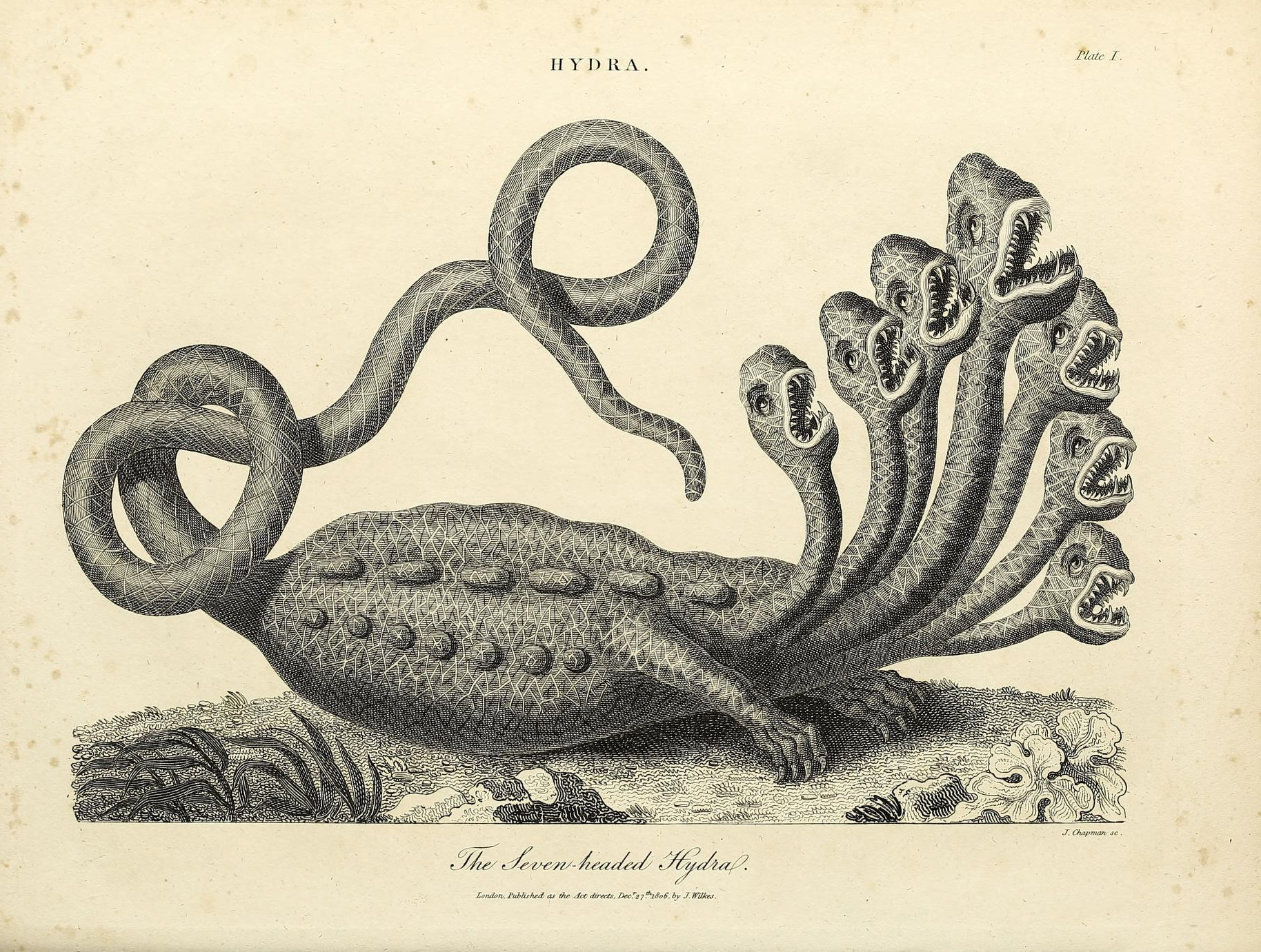 Encyclopaedia londinensis, ou dictionnaire universel des arts, des sciences et de la littérature Londres : Imprimé pour le propriétaire, par J. Adlard 