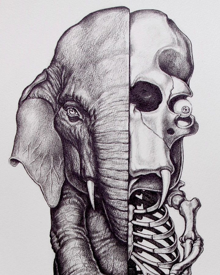 Masao KINOSHITA Half Bone Elephant Masao KINOSHITA Half Bone Elephant