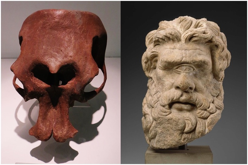 Comparaison crâne de Mammouth et portrait de Cyclope Comparaison crâne de Mammouth et portrait de Cyclope