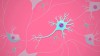 Neurone, via crashcourse