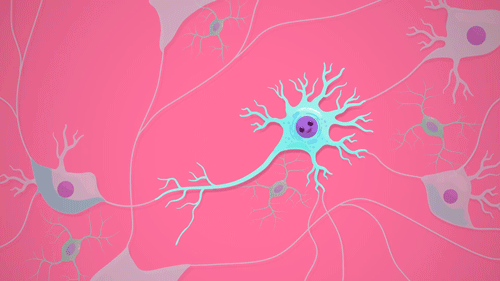 Neurone, via crashcourse
