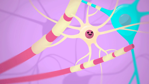 Astrocyte, via crashcourse