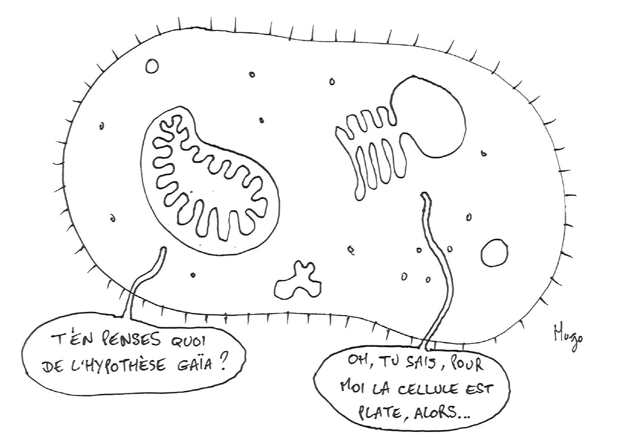 Dessin d'Hugo
