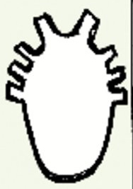 Hiéroglyphe du coeur