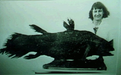 Le premier spécimen de cœlacanthe péché en 1938 posant avec Miss Courtney-Latimer, qui a reconnu sa spécificité et dont le patronyme est à l’origine du nom de genre du poisson, Latimeria