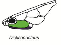 Dicksonosteus
